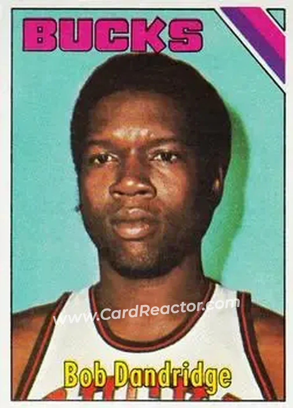 1975-76 Topps #17 - Bob Dandridge - Milwaukee Bucks - Front