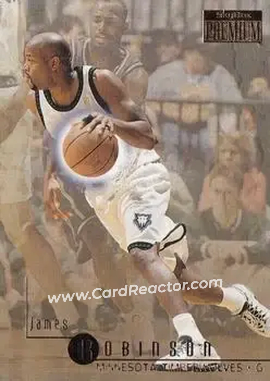 1996-97 SkyBox Premium #169 - James Robinson - Minnesota Timberwolves - Front