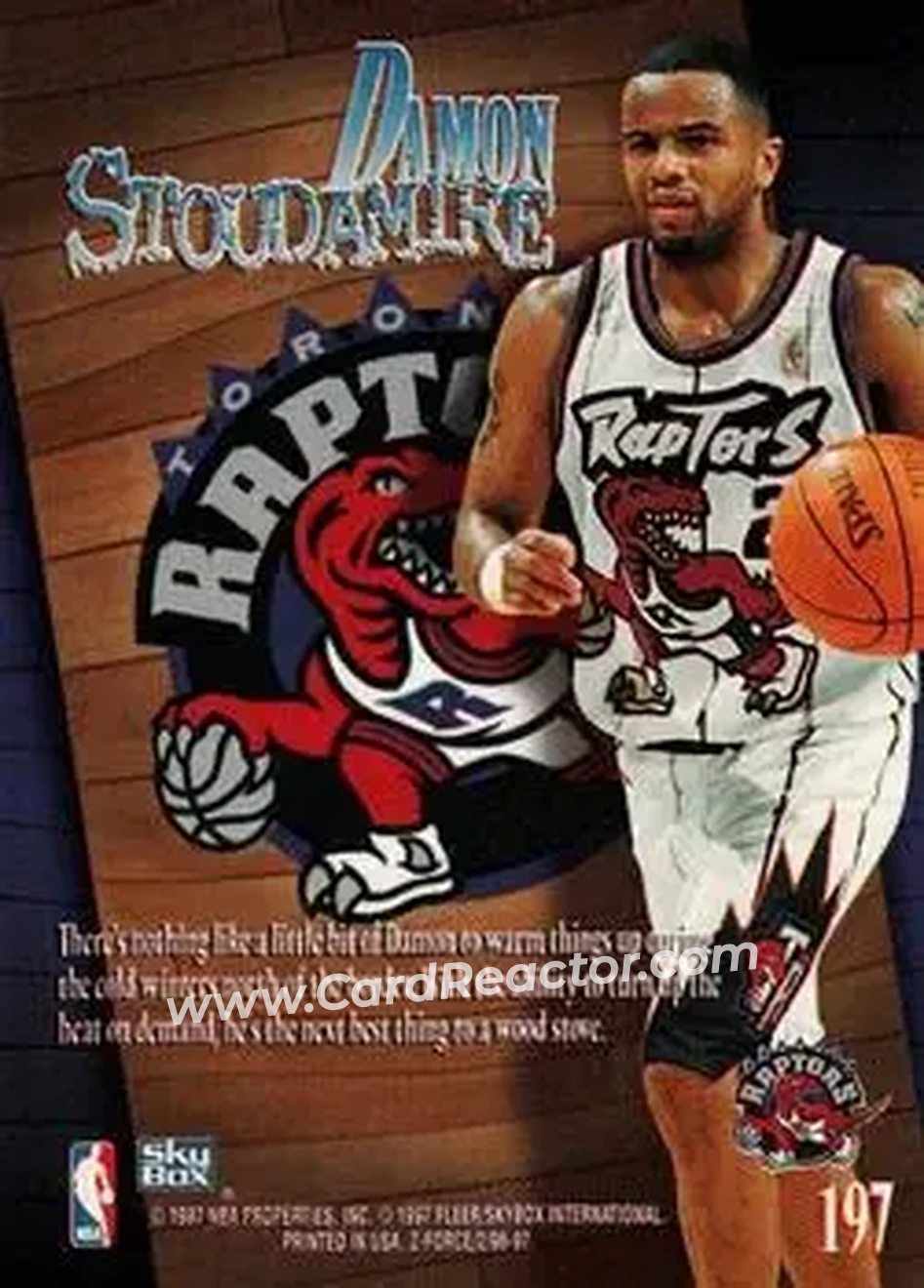 1996-97 SkyBox Z-Force #197 - Damon Stoudamire - Toronto Raptors - Back