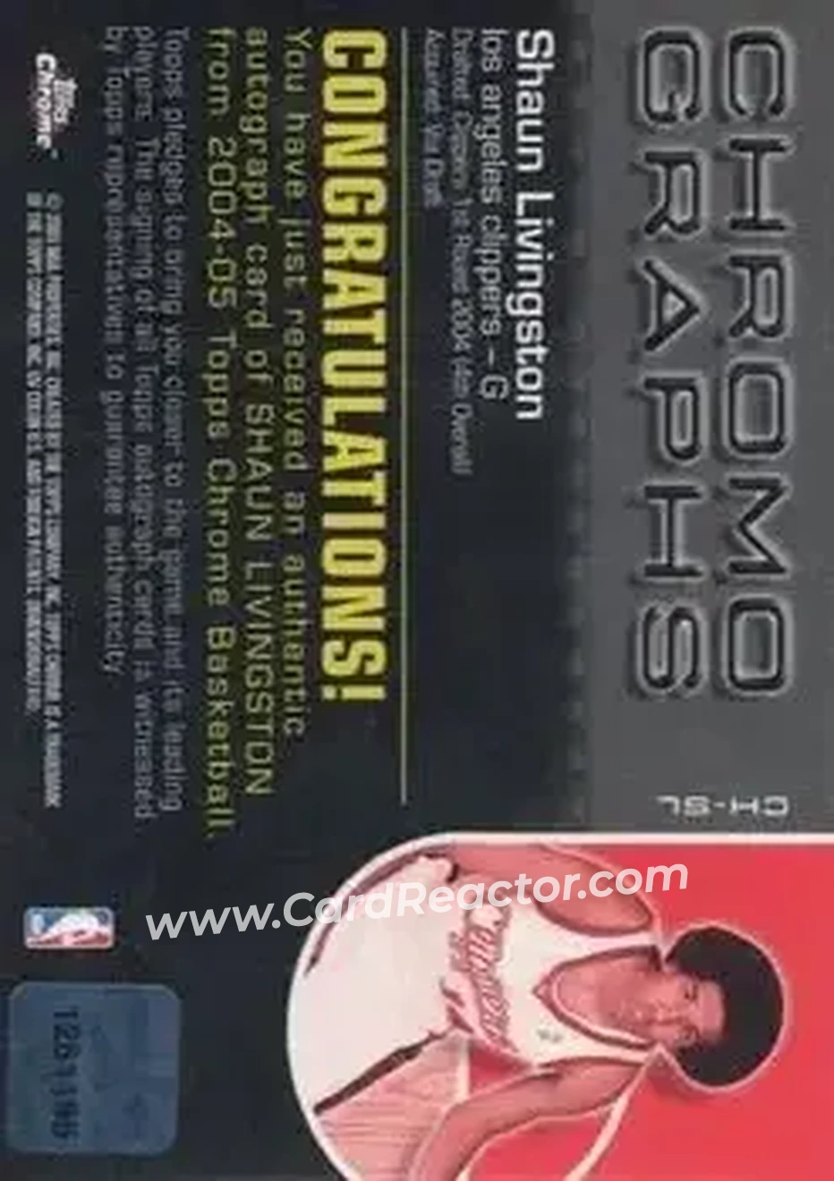 2004-05 Topps Chrome - Chromographs #CH-SL - Shaun Livingston - Los Angeles Clippers - Back