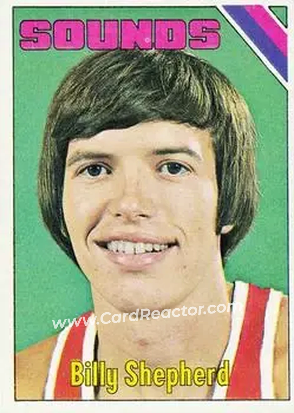 1975-76 Topps #301 - Billy Shepherd - Memphis Sounds - Front