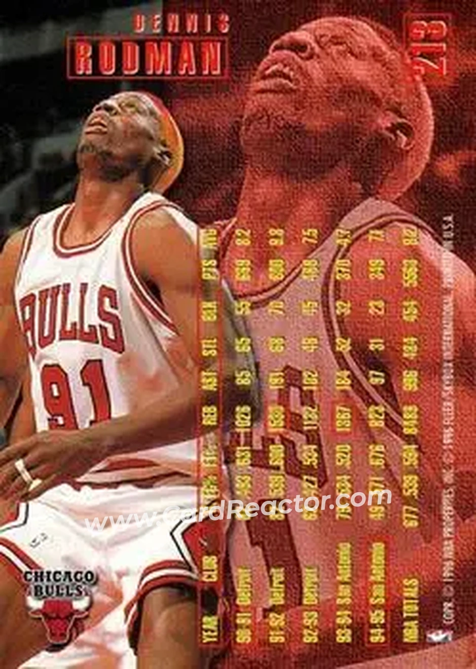 1995-96 Fleer #213 - Dennis Rodman - Chicago Bulls - Back