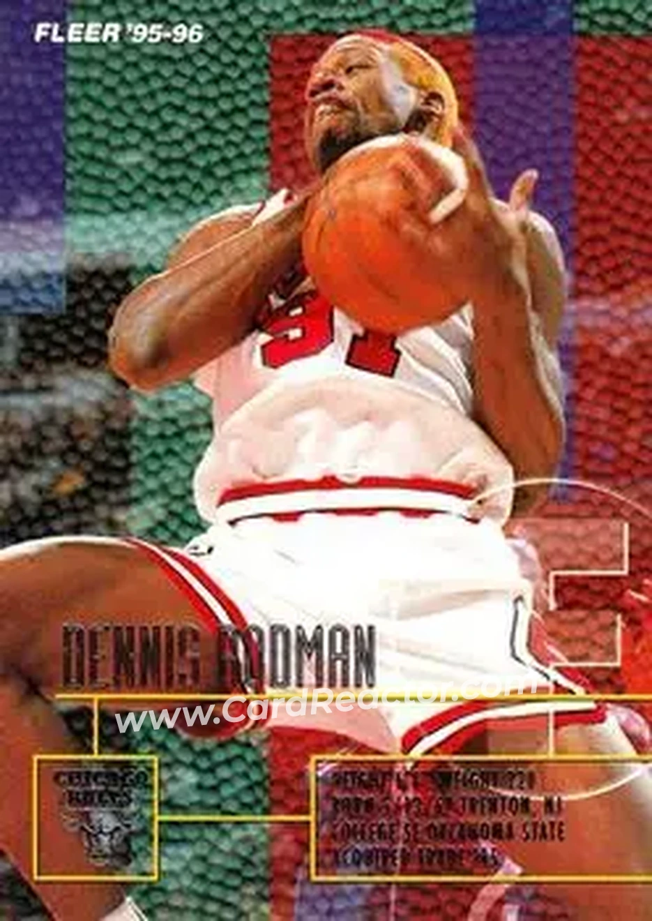 1995-96 Fleer #213 - Dennis Rodman - Chicago Bulls - Front
