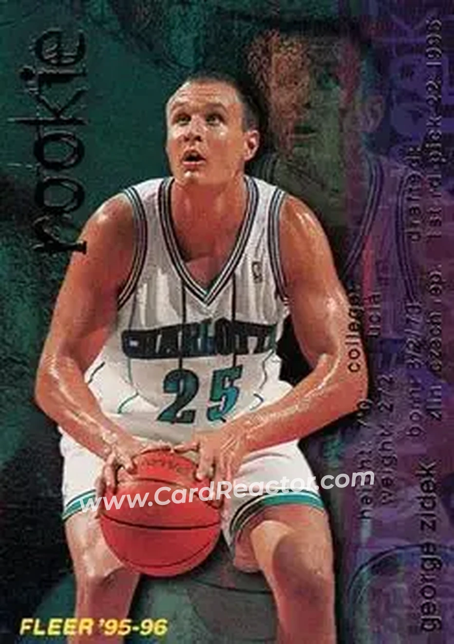 1995-96 Fleer #319 - Jiri Zidek - Charlotte Hornets - Front