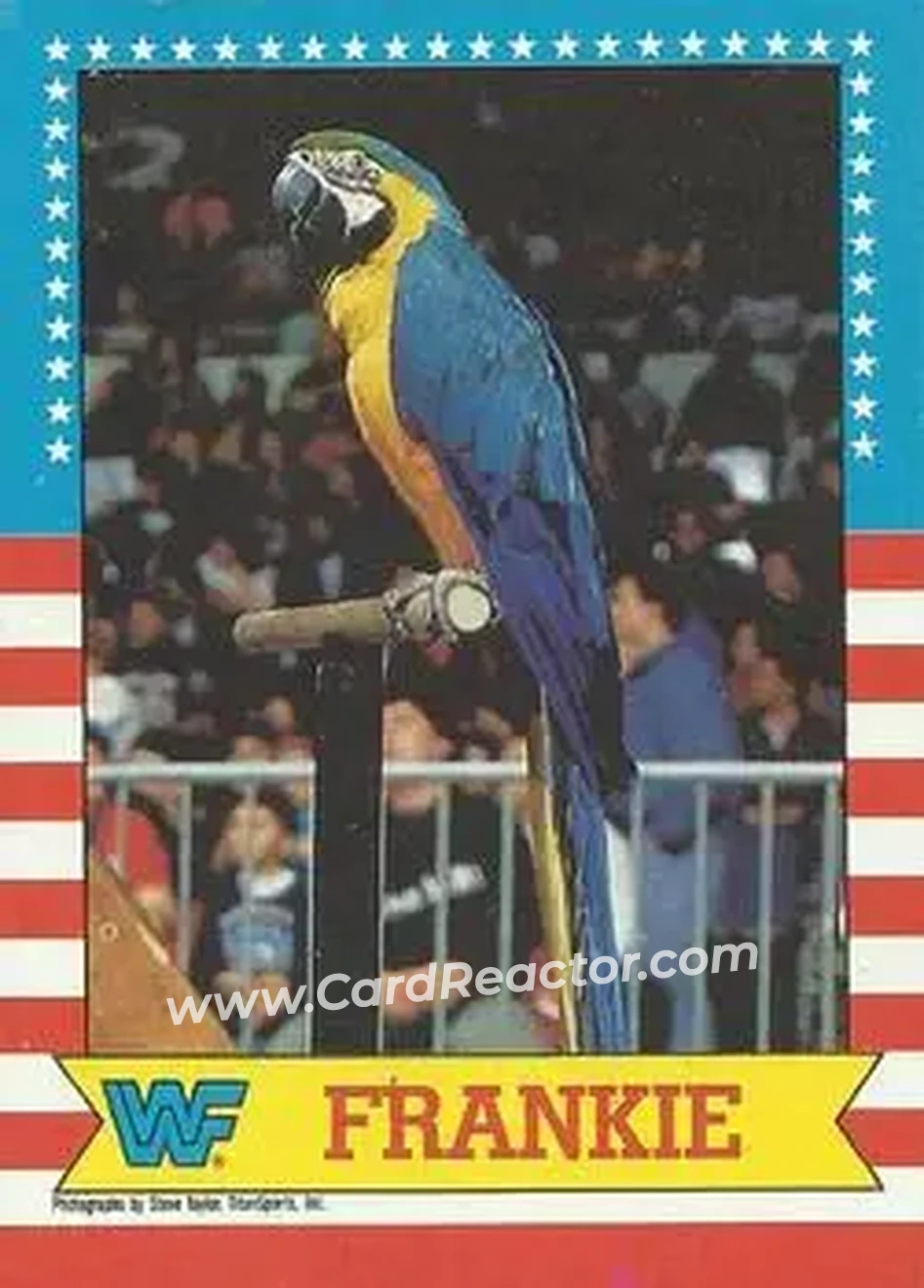 1987 Topps WWF #4 - Frankie - Front 1987 Topps WWF #4 - Frankie - Front