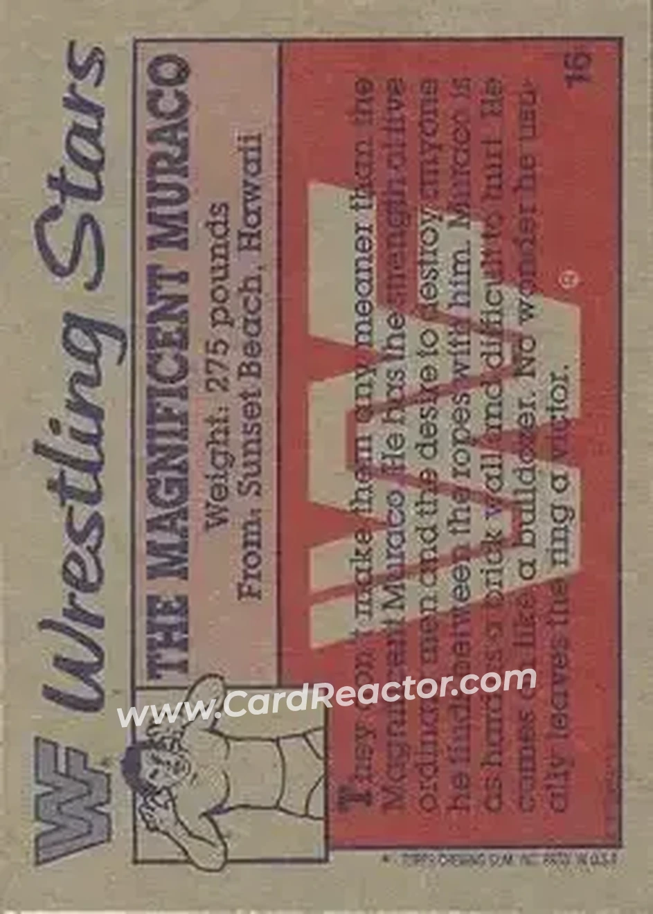 1987 Topps WWF #16 - The Magnificant Muraco - Back