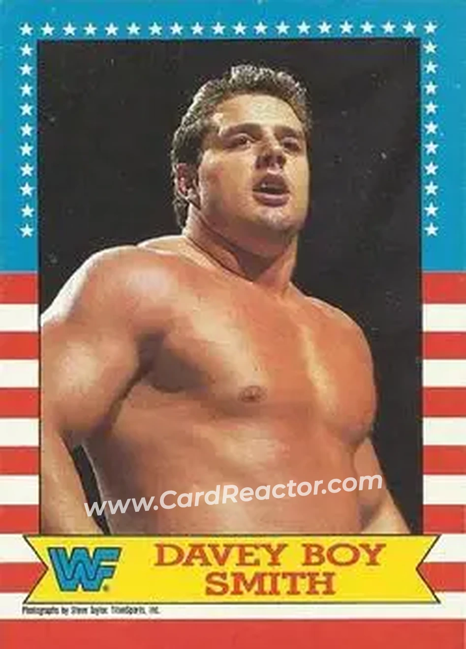 1987 Topps WWF #19 - Davey Boy Smith