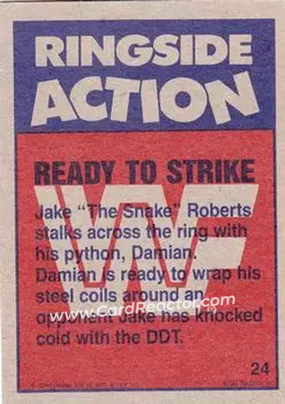 1987 Topps WWF #24 - Card #24 - Back
