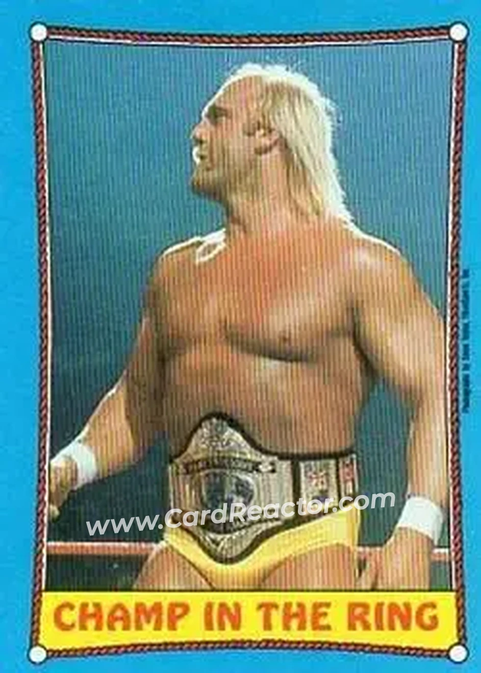 1987 Topps WWF #37 - Card #37 - Front