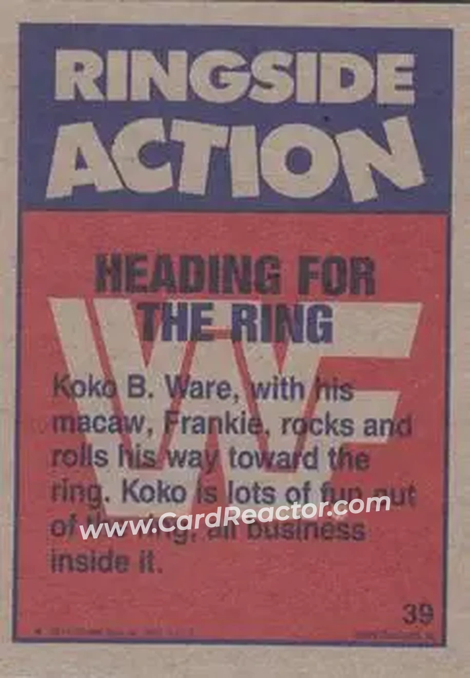 1987 Topps WWF #39 - Card #39 - Back
