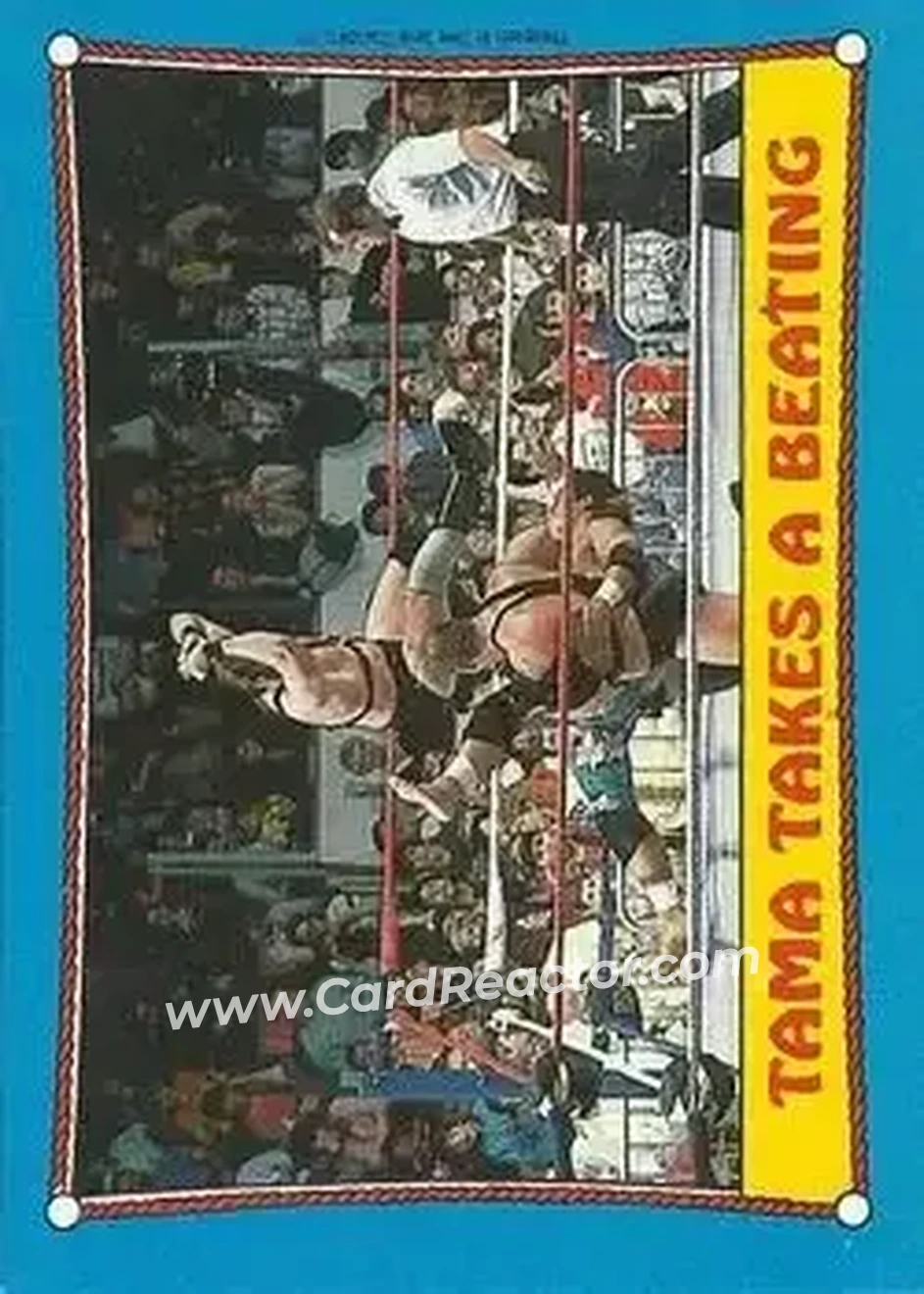 1987 Topps WWF #41 - Card #41 - Front 1987 Topps WWF #41 - Card #41 - Front
