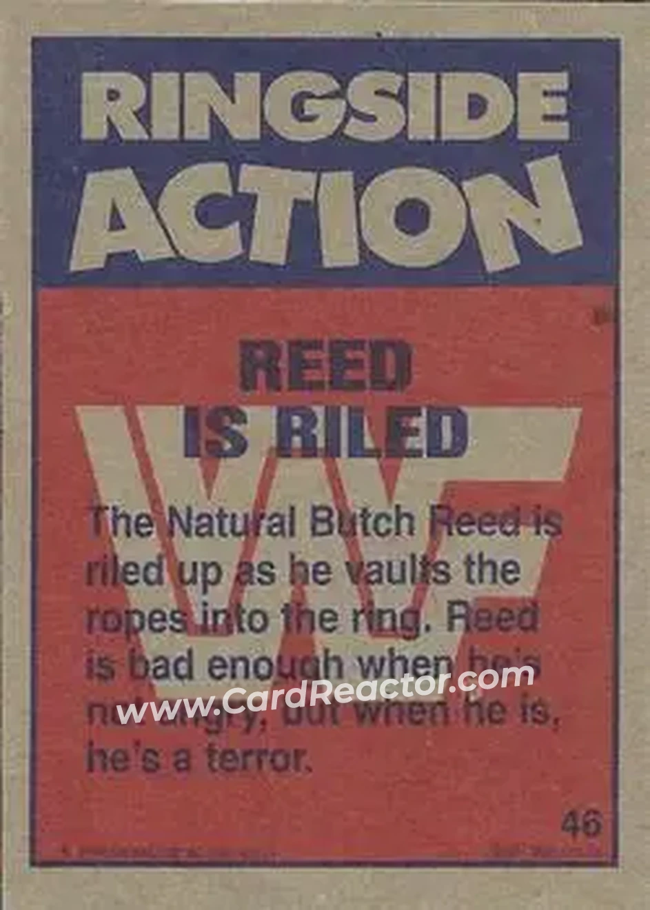 1987 Topps WWF #46 - Card #46 - Back