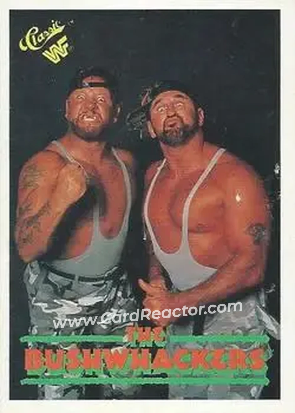 1989 Classic WWF #15 - The Bushwhackers (Butch & Luke)