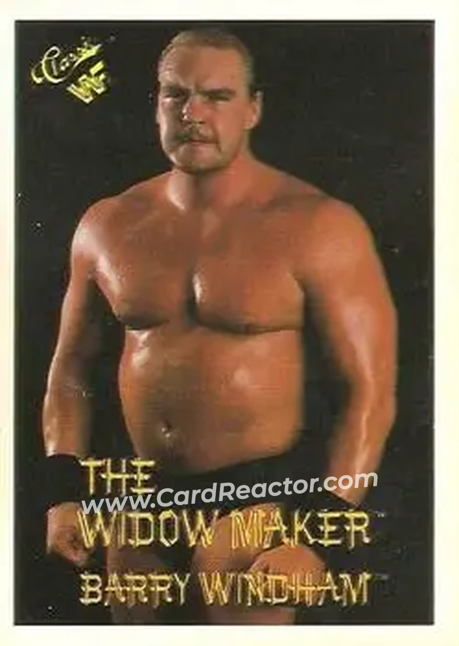 1989 Classic WWF #42 - The Widow Maker