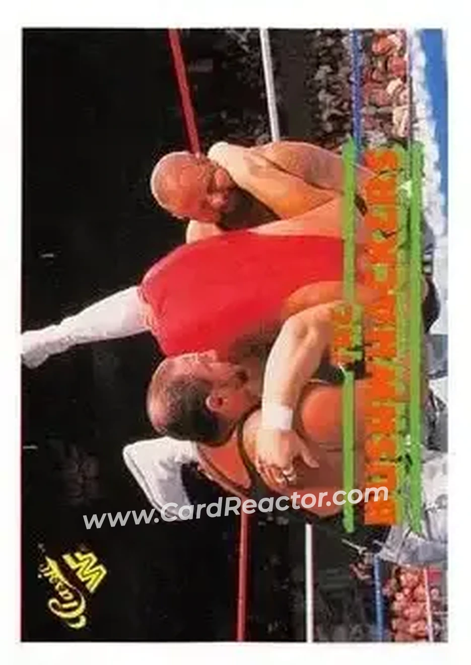 1989 Classic WWF #47 - The Bushwhackers (Butch & Luke)
