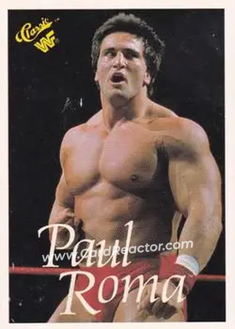 1989 Classic WWF #48 - Paul Roma