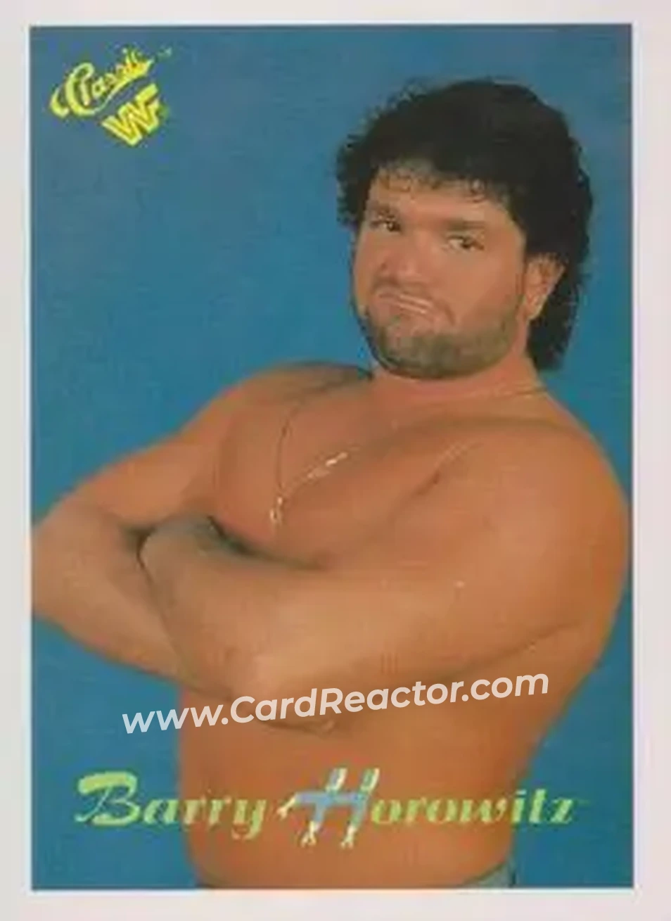 1989 Classic WWF #49 - Barry Horowitz