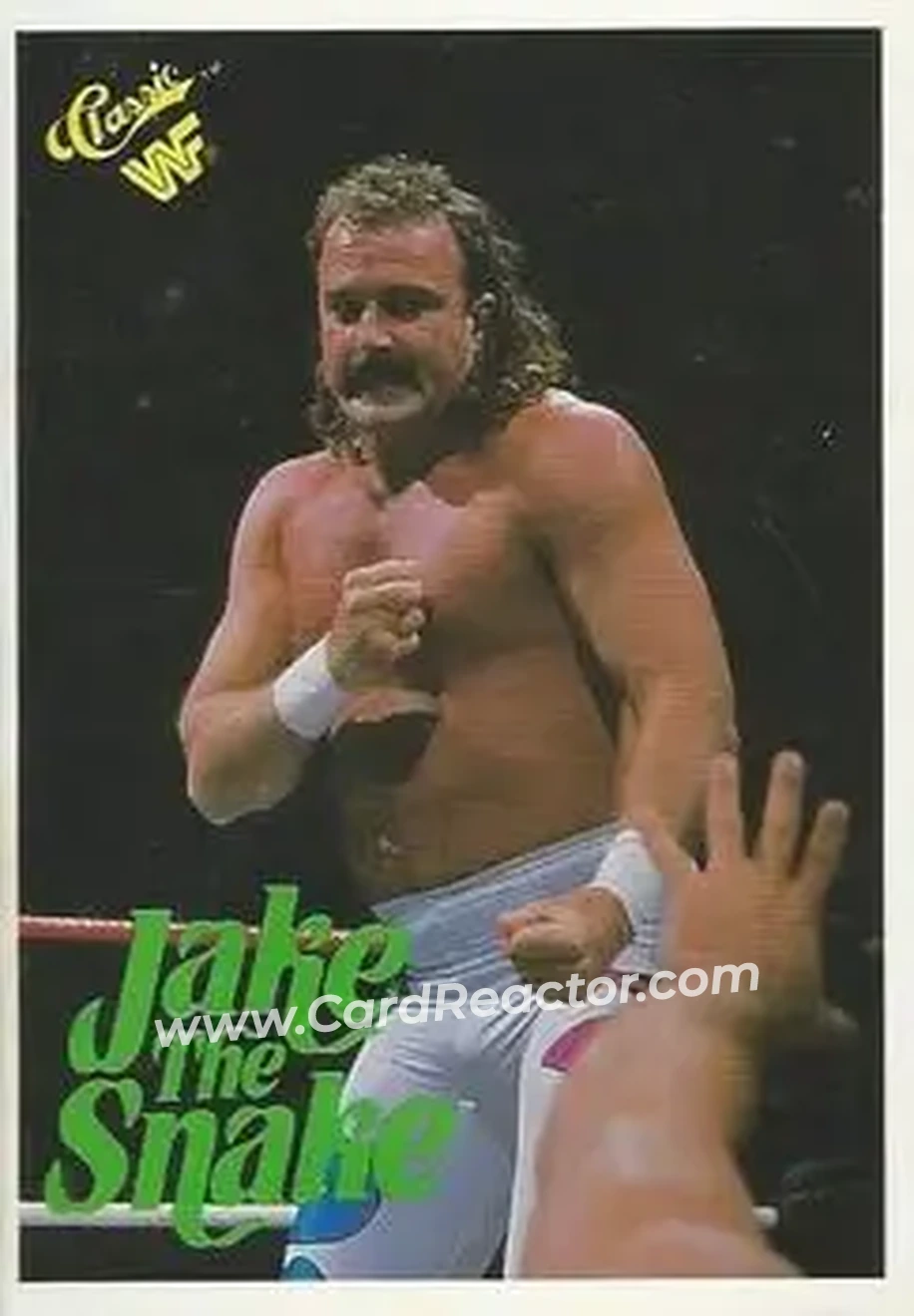 1989 Classic WWF #63 - Jake "The Snake" Roberts