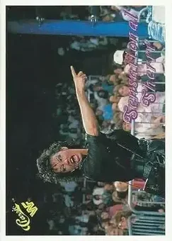 1989 Classic WWF #73 Sensational Queen Sherri