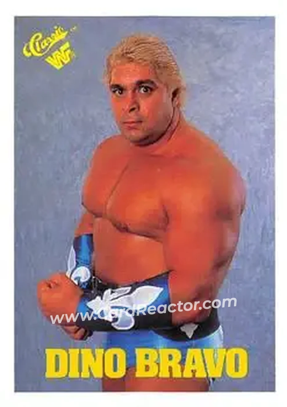 1989 Classic WWF #84 - Dino Bravo