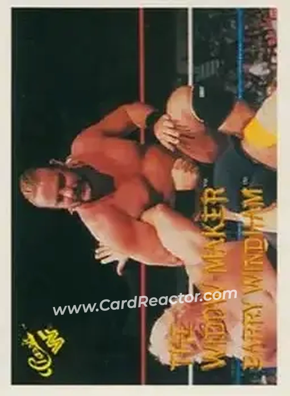 1989 Classic WWF #93 - The Widow Maker