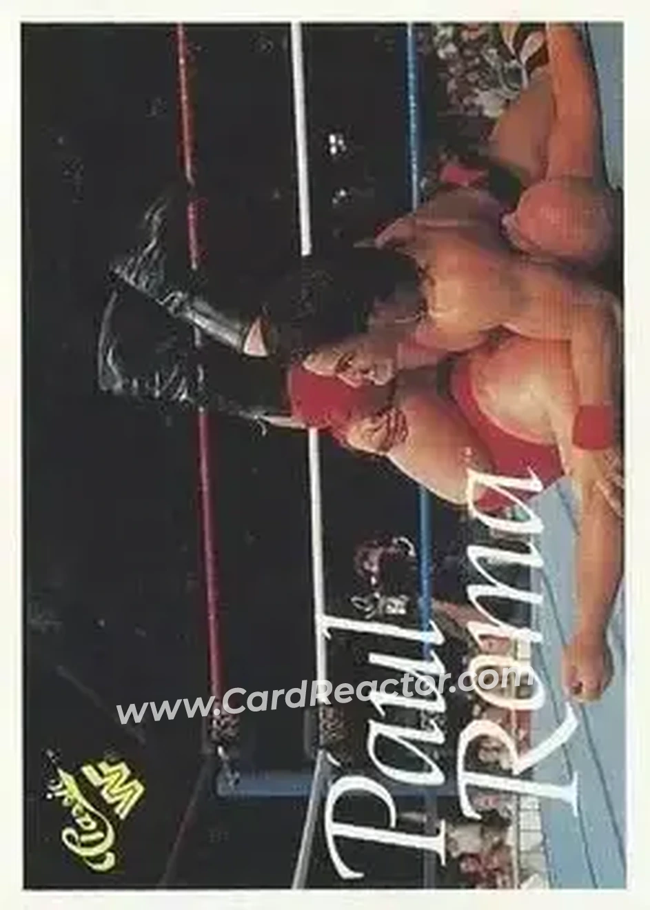 1989 Classic WWF #98 - Paul Roma