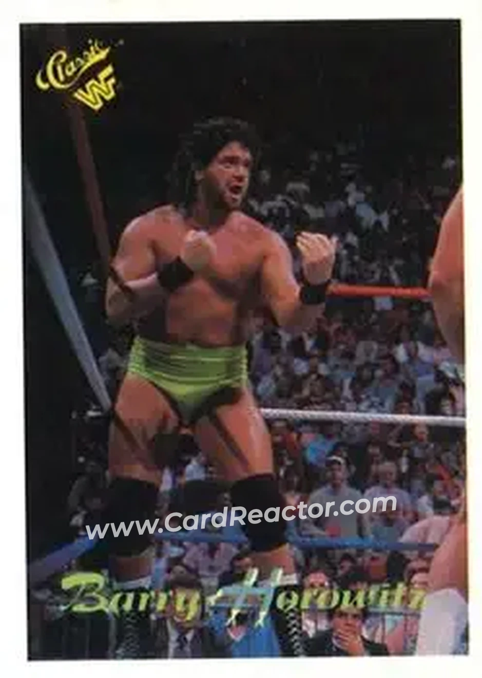 1989 Classic WWF #99 - Barry Horowitz