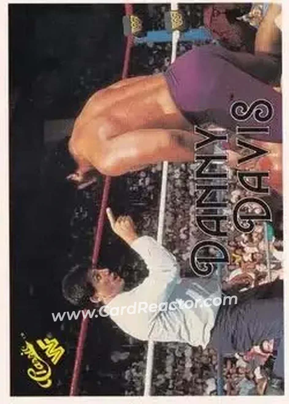 1989 Classic WWF #101 - Danny Davis