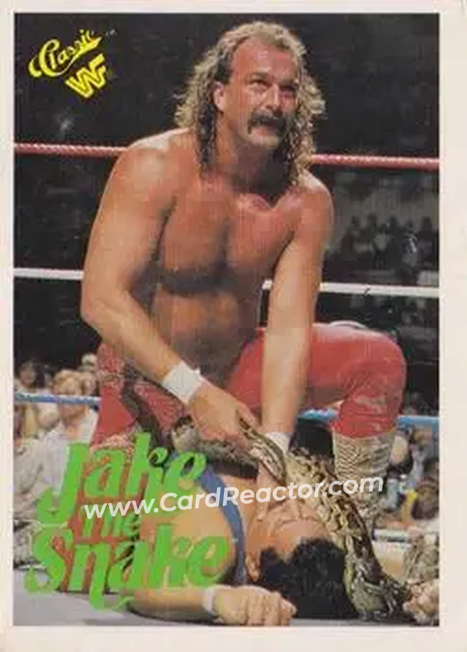1989 Classic WWF #108 - Jake "The Snake" Roberts