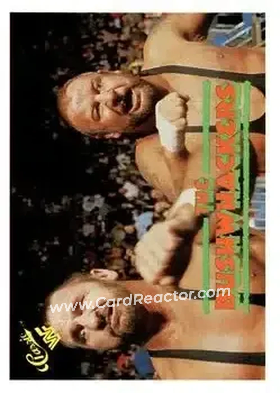 1989 Classic WWF #132 - The Bushwhackers (Butch & Luke)