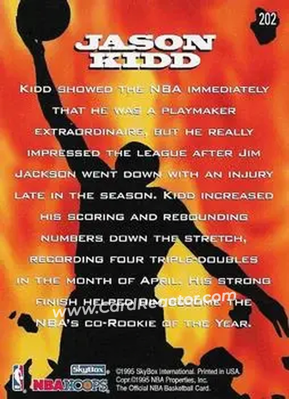 1995-96 Hoops #202 - Jason Kidd - Dallas Mavericks - Back