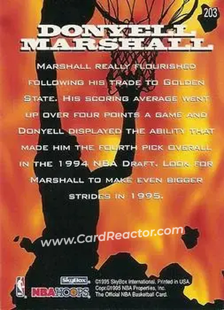 1995-96 Hoops #203 - Donyell Marshall - Golden State Warriors - Back