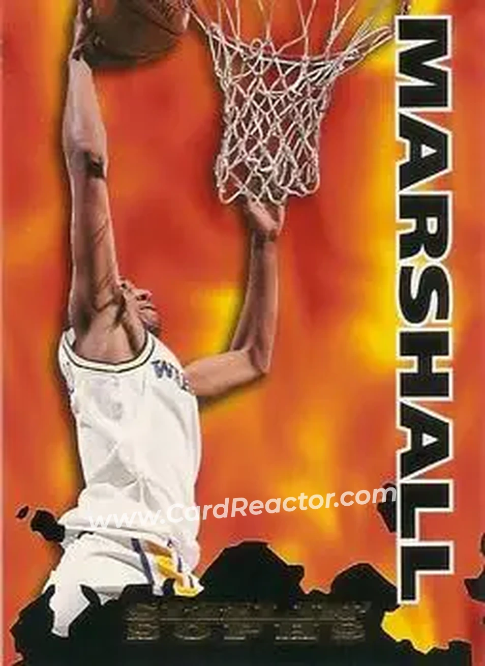 1995-96 Hoops #203 - Donyell Marshall - Golden State Warriors - Front