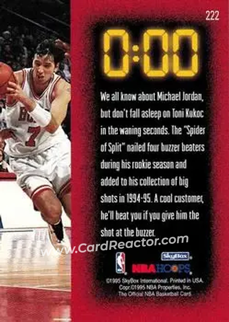 1995-96 Hoops #222 - Toni Kukoc - Chicago Bulls - Back 1995-96 Hoops #222 - Toni Kukoc - Chicago Bulls - Back