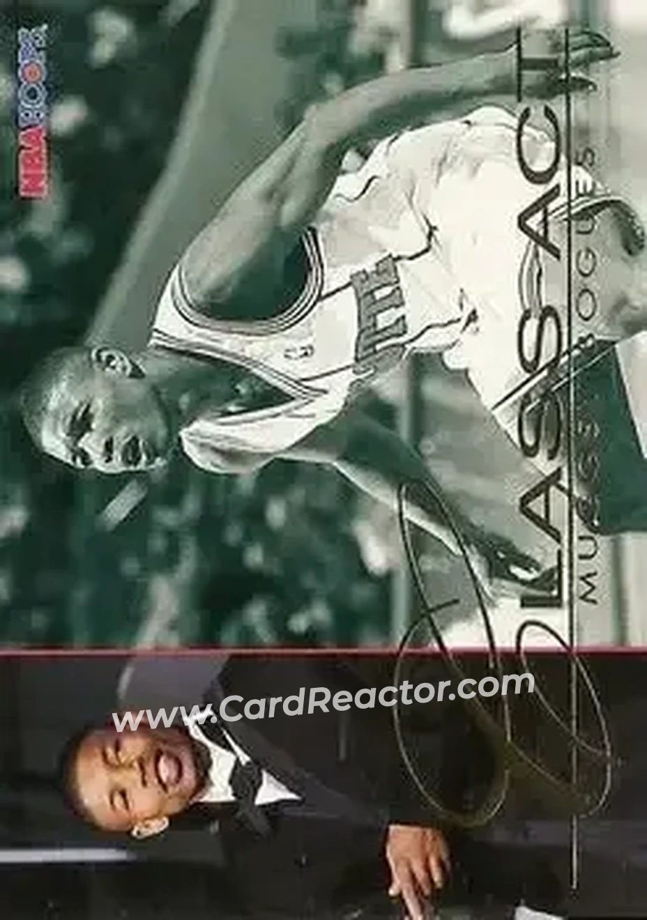 1995-96 Hoops #233 - Muggsy Bogues - Charlotte Hornets - Front