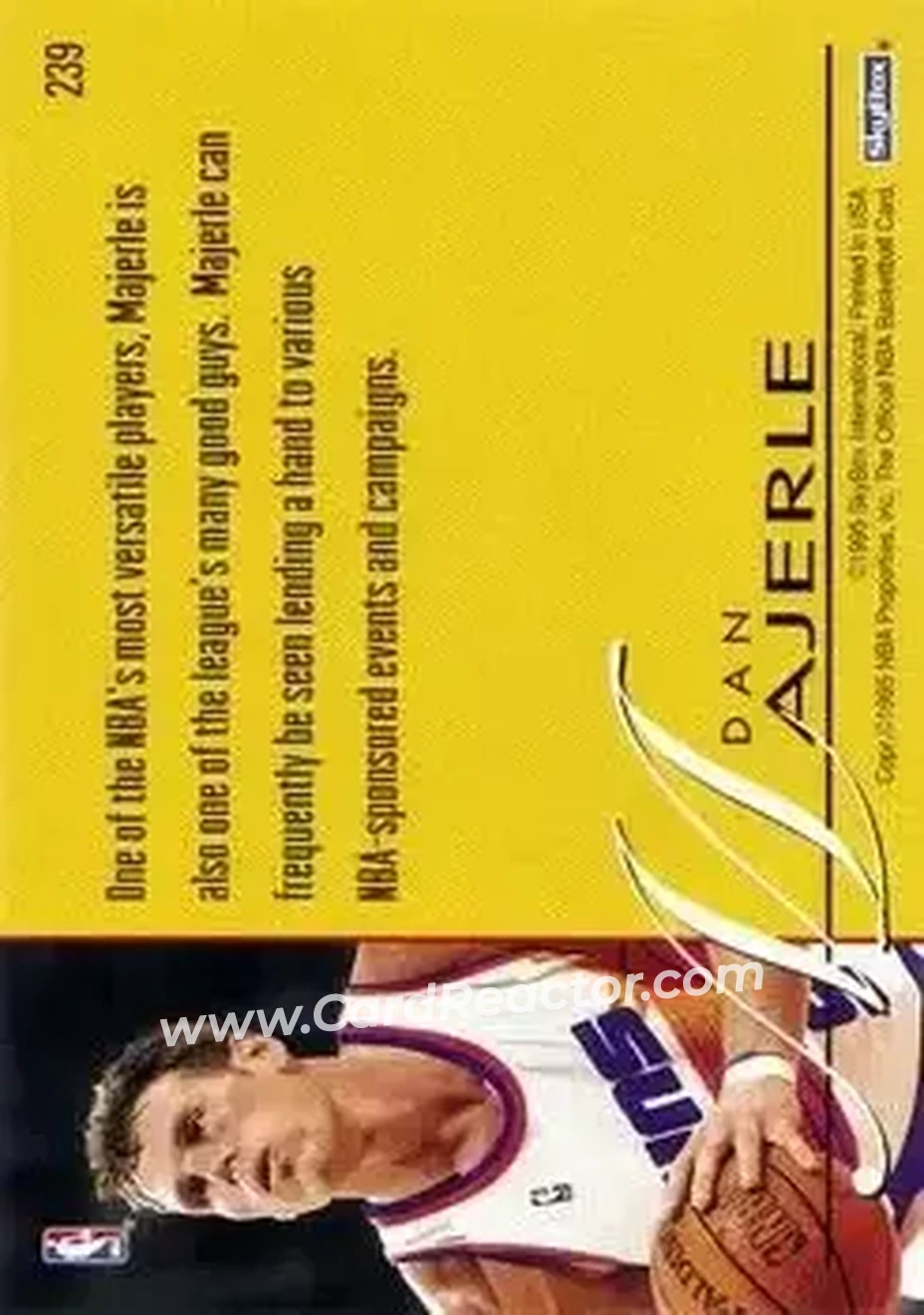 1995-96 Hoops #239 - Dan Majerle - Phoenix Suns - Back
