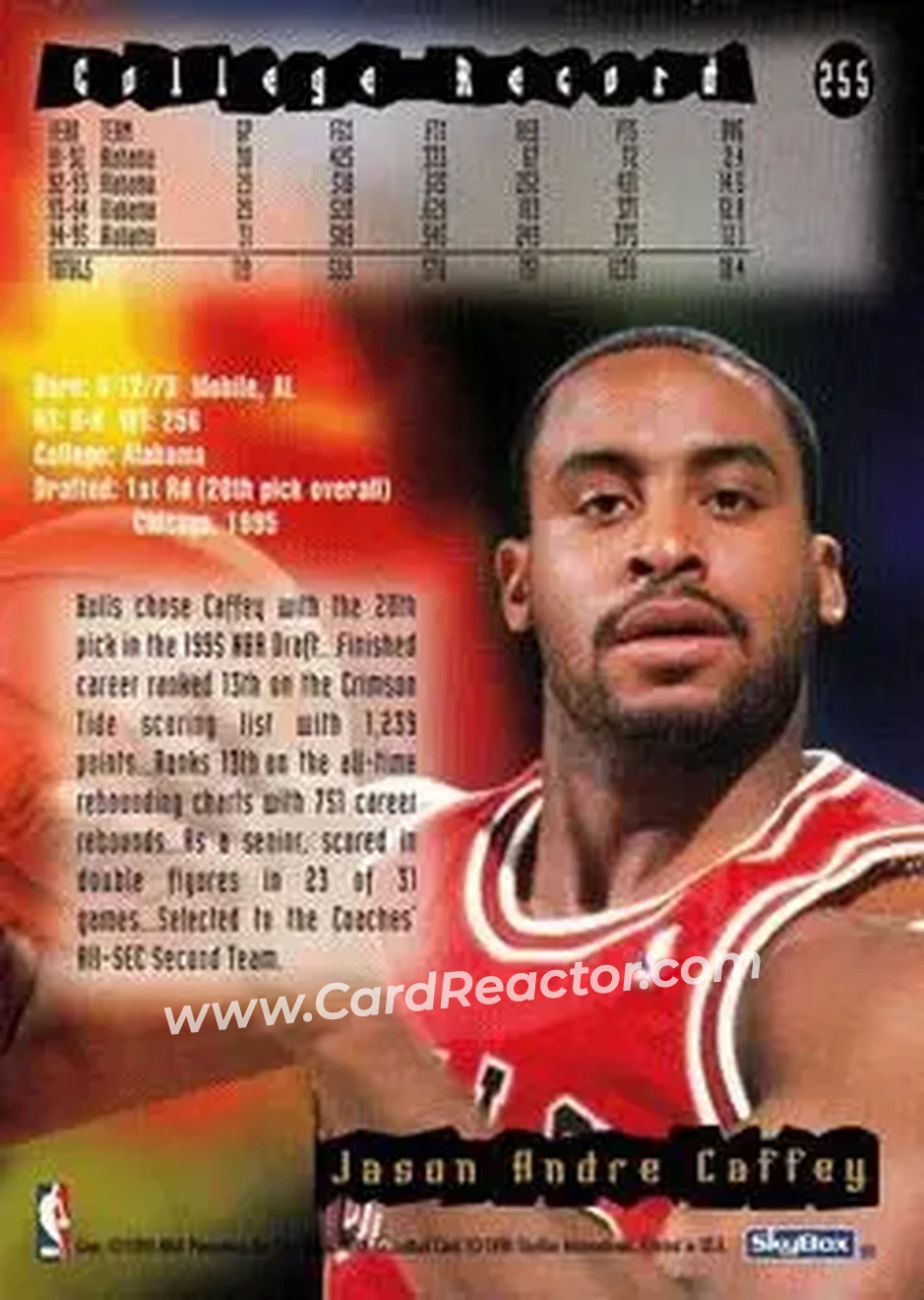 1995-96 Hoops #255 - Jason Caffey - Chicago Bulls - Back