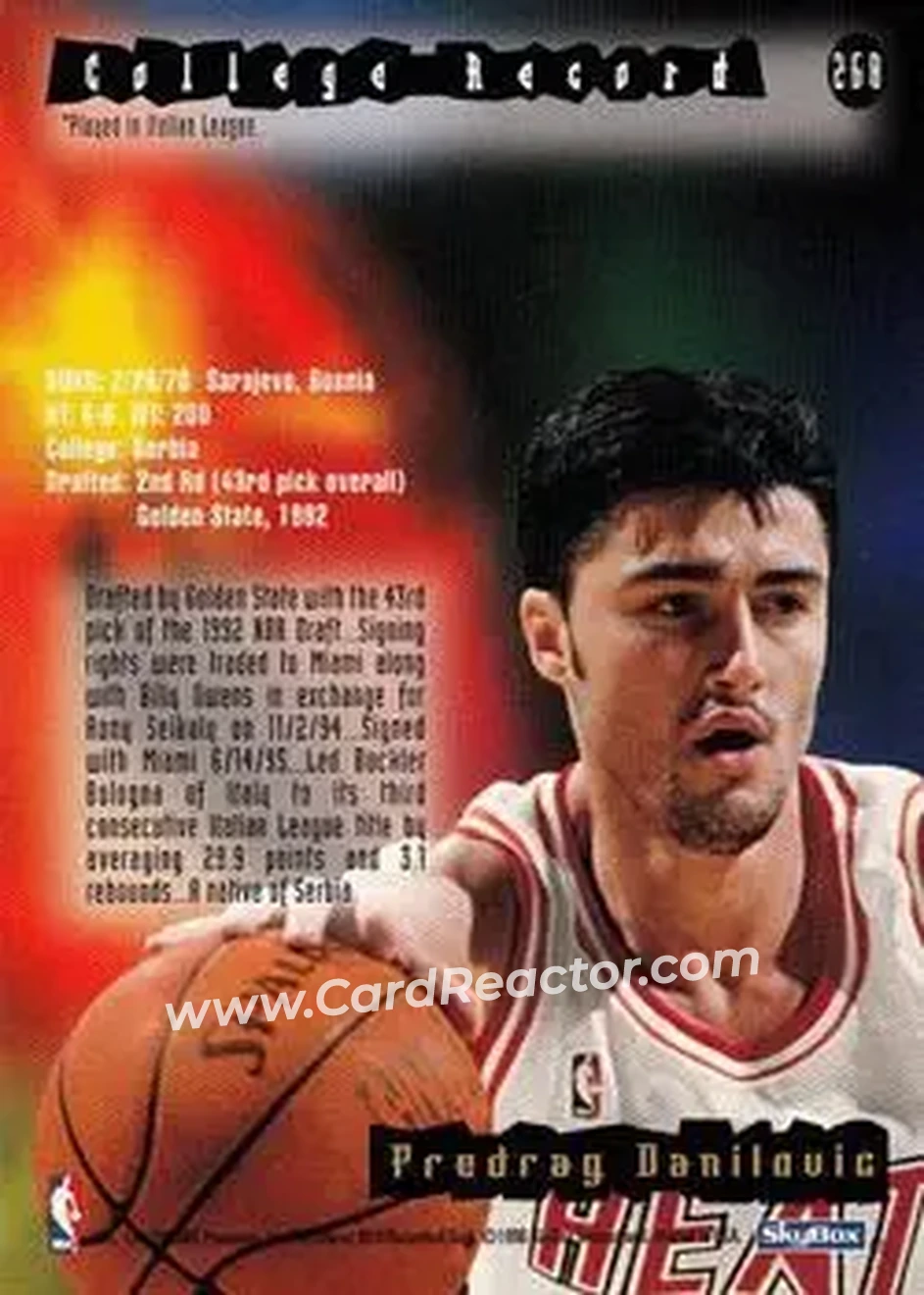 1995-96 Hoops #268 - Sasha Danilović - Miami Heat - Back