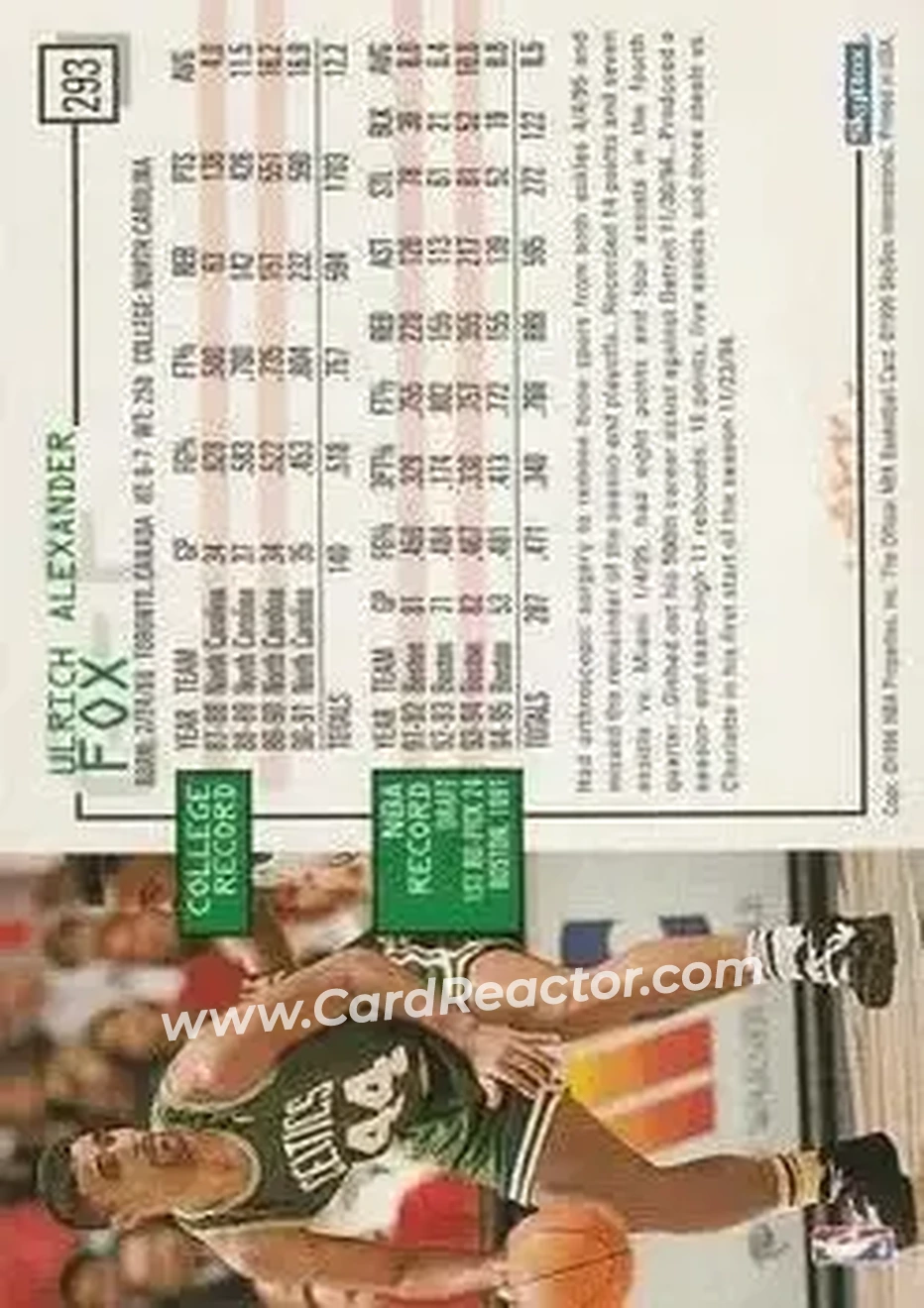 1995-96 Hoops #293 - Rick Fox - Boston Celtics - Back