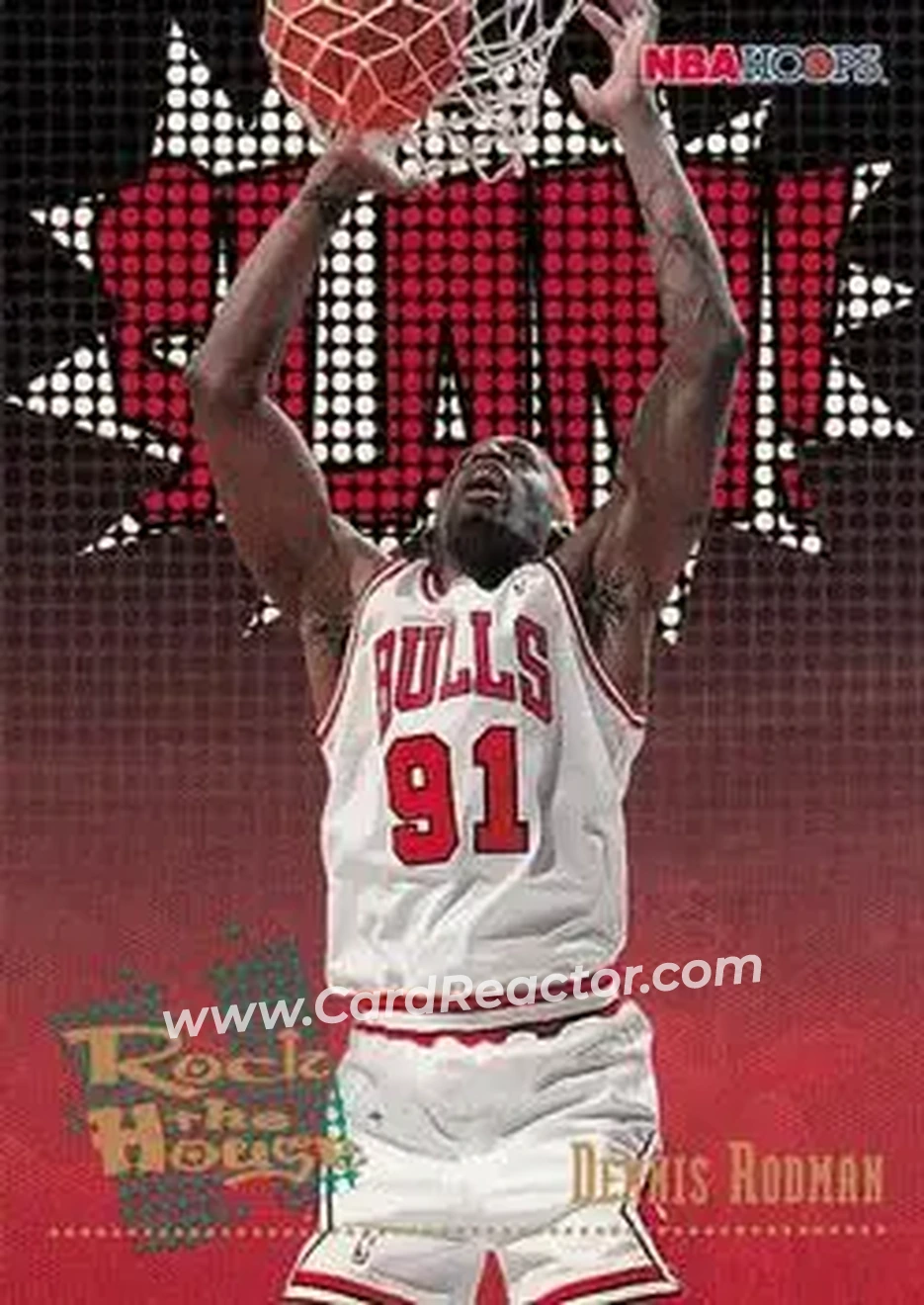 1995-96 Hoops #376 - Dennis Rodman - Chicago Bulls - Front
