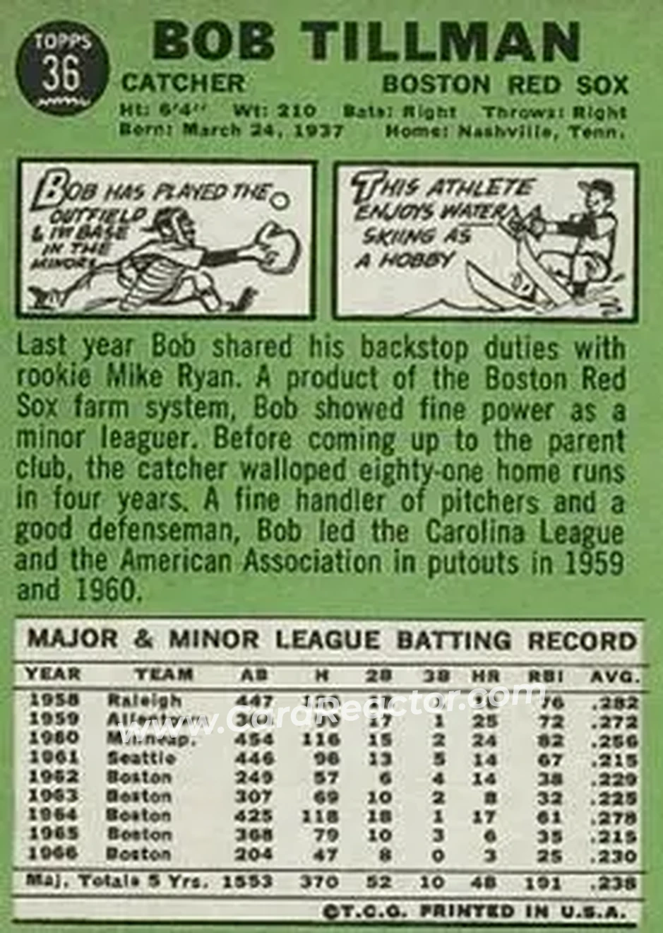 1967 Topps #36 - Bob Tillman - Boston Red Sox - Back 1967 Topps #36 - Bob Tillman - Boston Red Sox - Back