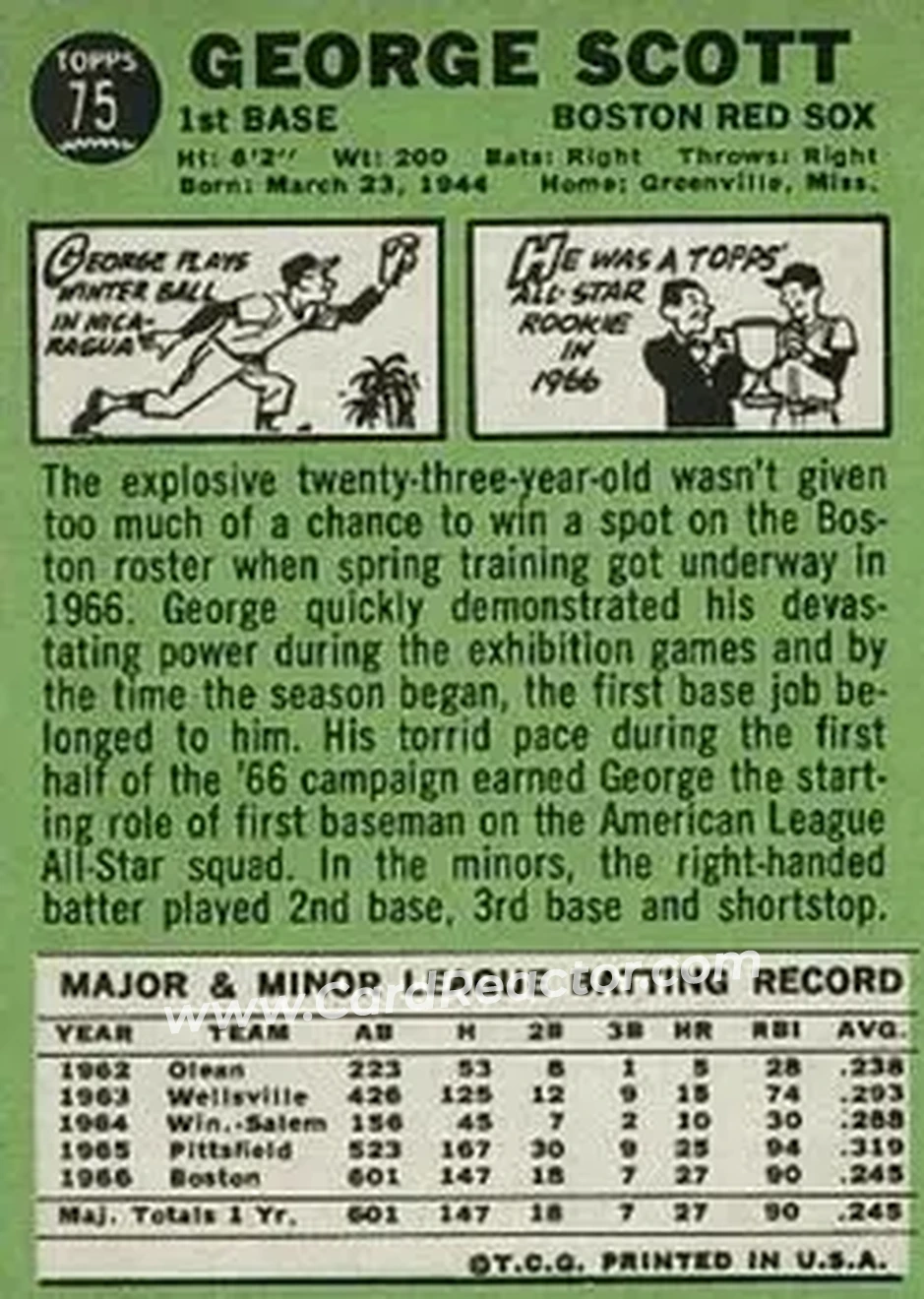 1967 Topps #75 - George Scott - Boston Red Sox - Back
