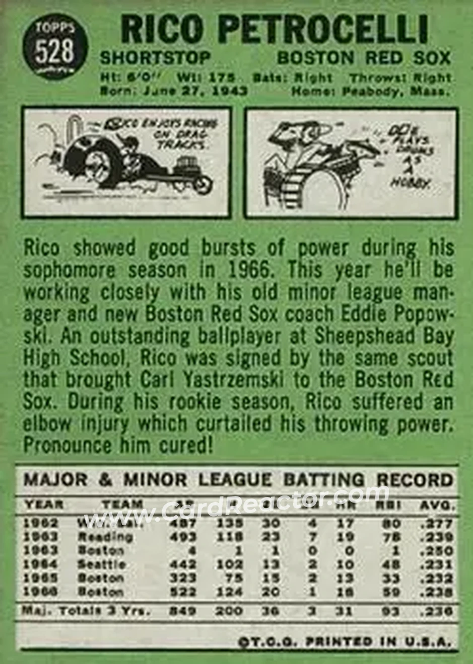 1967 Topps #528 - Rico Petrocelli - Boston Red Sox - Back 1967 Topps #528 - Rico Petrocelli - Boston Red Sox - Back