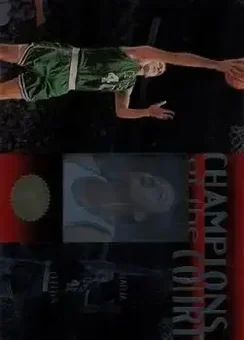Dino Radja
