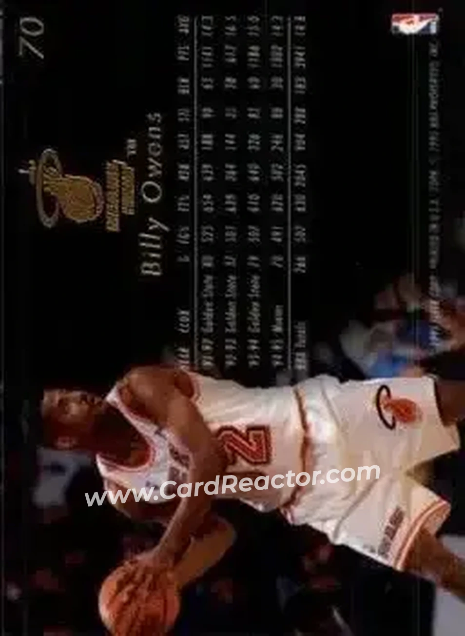 1995-96 Flair #70 - Billy Owens - Miami Heat - Back