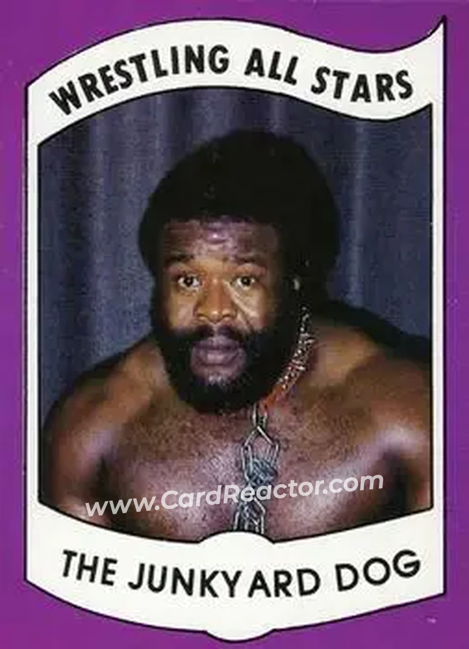 1982 Wrestling All Stars Series A #5 - The Junkyard Dog