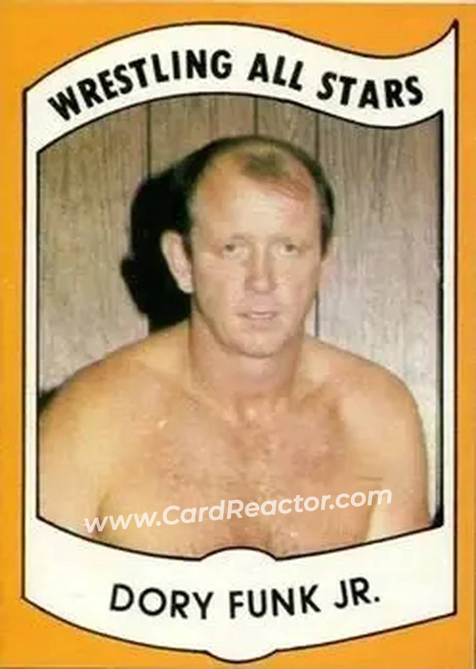 1982 Wrestling All Stars Series A #9 - Dory Funk Jr.