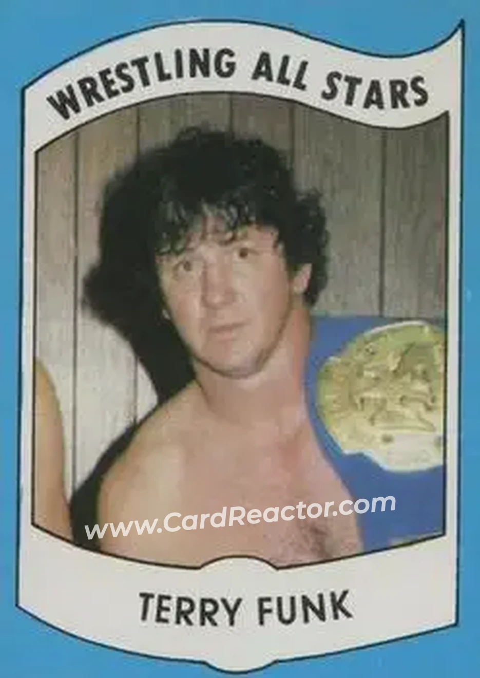 1982 Wrestling All Stars Series A #10 - Terry Funk