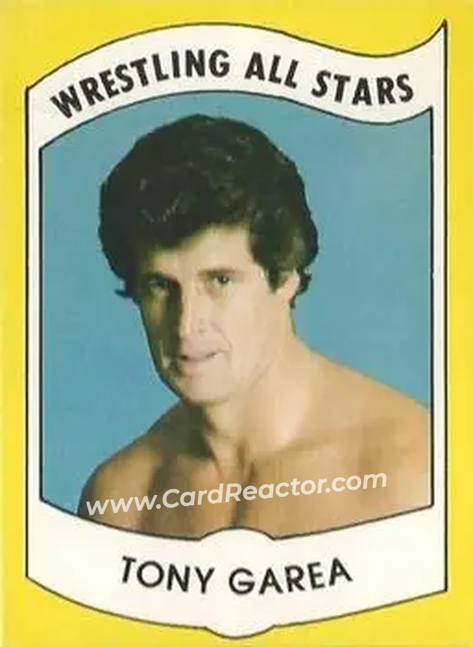 1982 Wrestling All Stars Series B #2 - Tony Garea