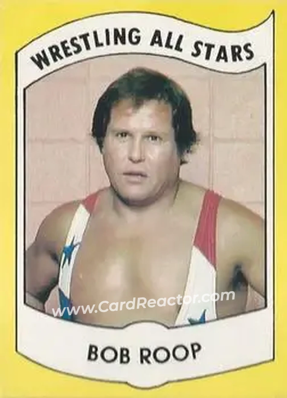1982 Wrestling All Stars Series B #3 - Bob Roop